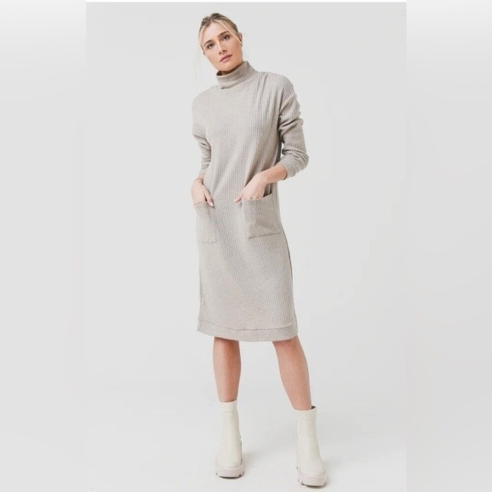 BB Dakota Steve Madden Melt Mountain Mock Neck Long Sleeve Sweater Dress Size L